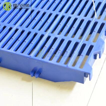 Simplifying Farm Upkeep: Maintenance Differences Between Swine Plastic Floors and Traditional Flooring Systems
