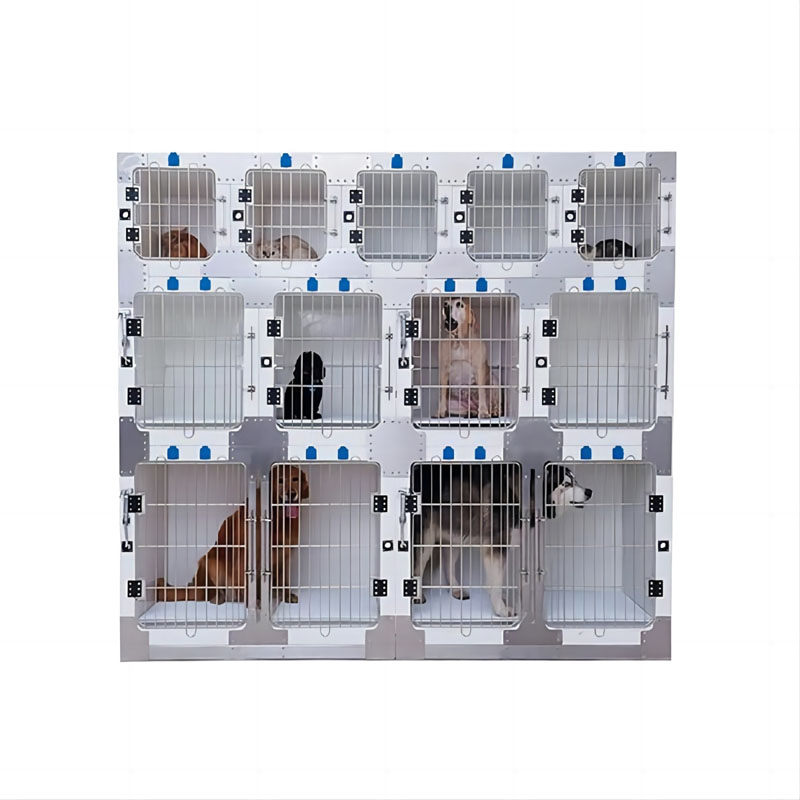 How Can Veterinary Grade Pet Enclosures Improve Animal Care Efficiency and Safety?