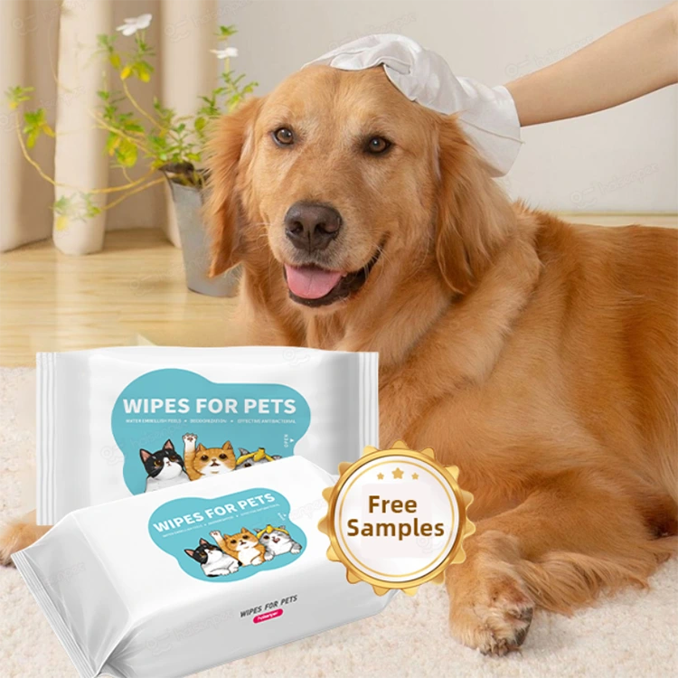 How Can Pet Care Products Make Daily Life Easier for Modern Pet Families?