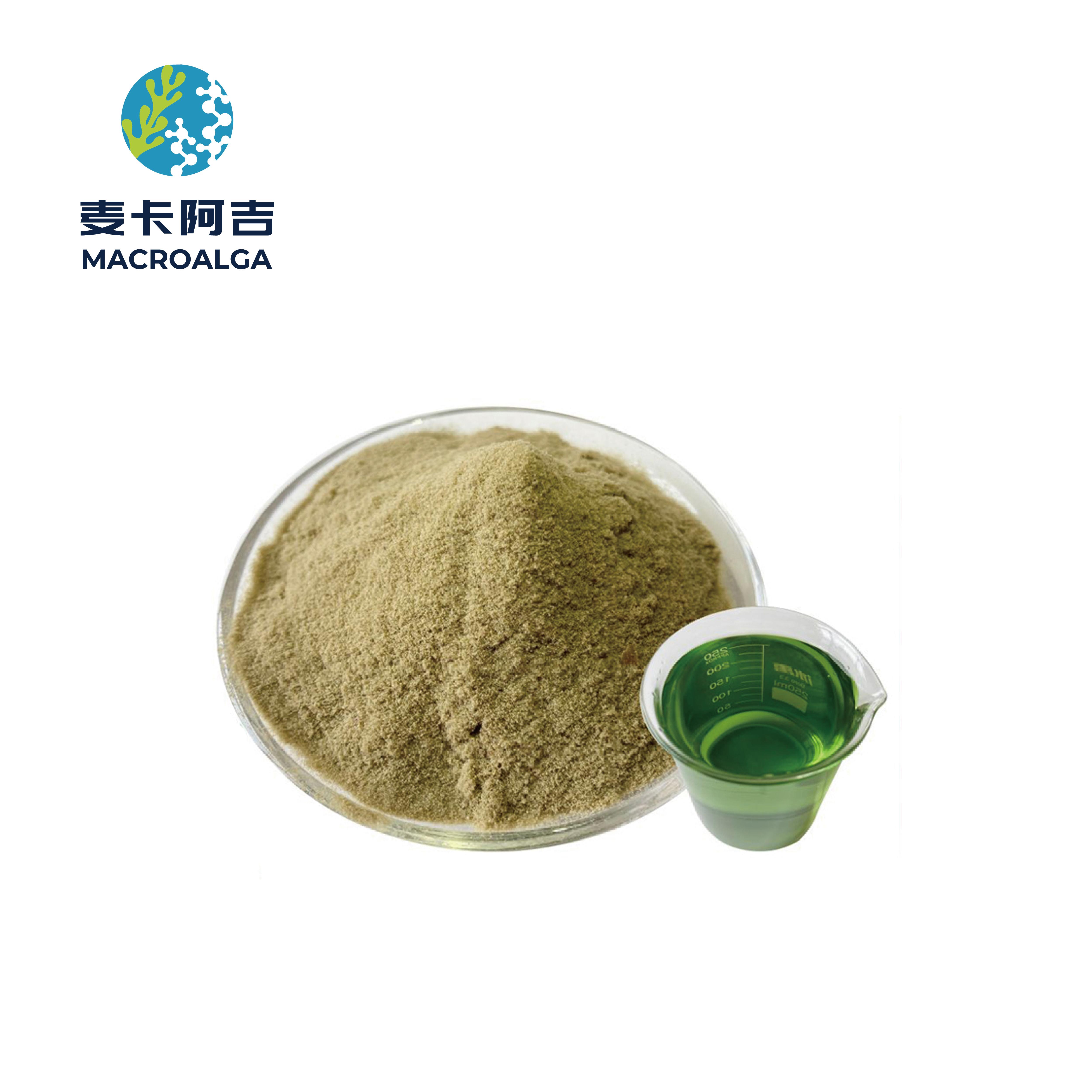 Reliable China Seaweed Fertilizer: A Guide to Choosing Trustworthy Products